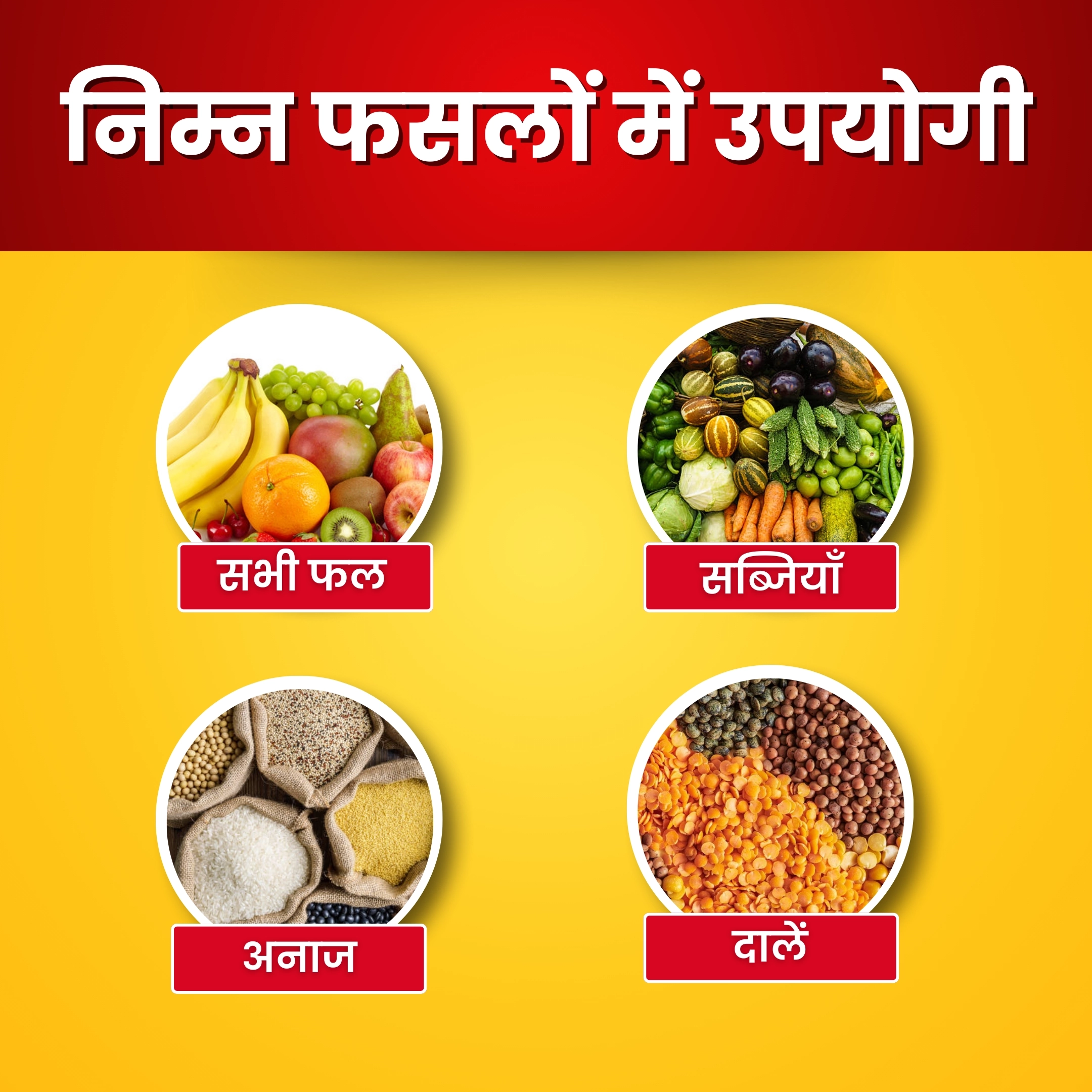 Katyayani Activated Humic Acid + Fulvic Acid