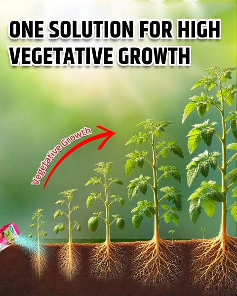 Katyayani NPK 19:19:19 | Water Soluble Fertilizer
