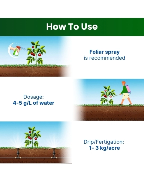 Katyayani NPK 19:19:19 | Water Soluble Fertilizer