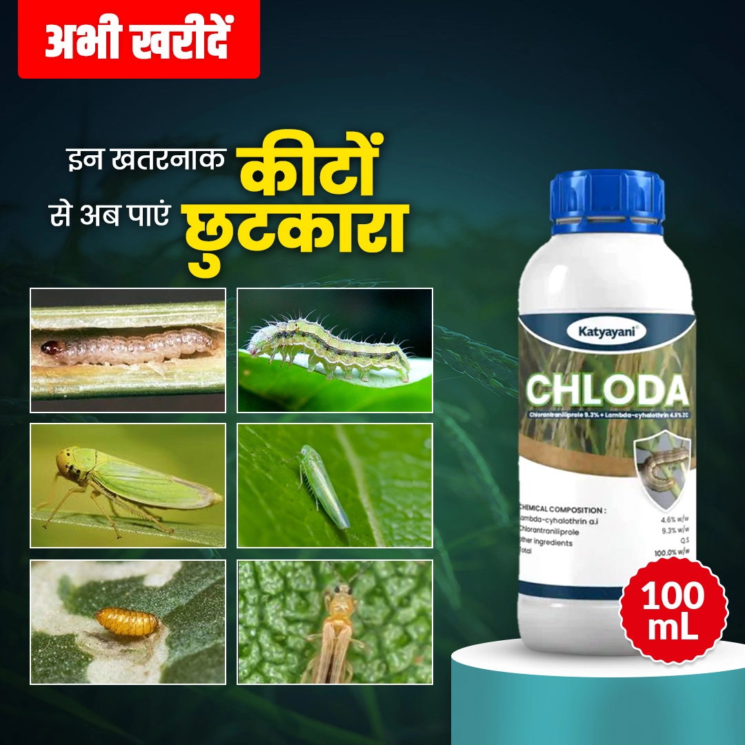 Katyayani Chloda Chemical insecticide | Chlorantraniliprole 9.3% + Lambda Cyhalothrin 4.6% ZC |