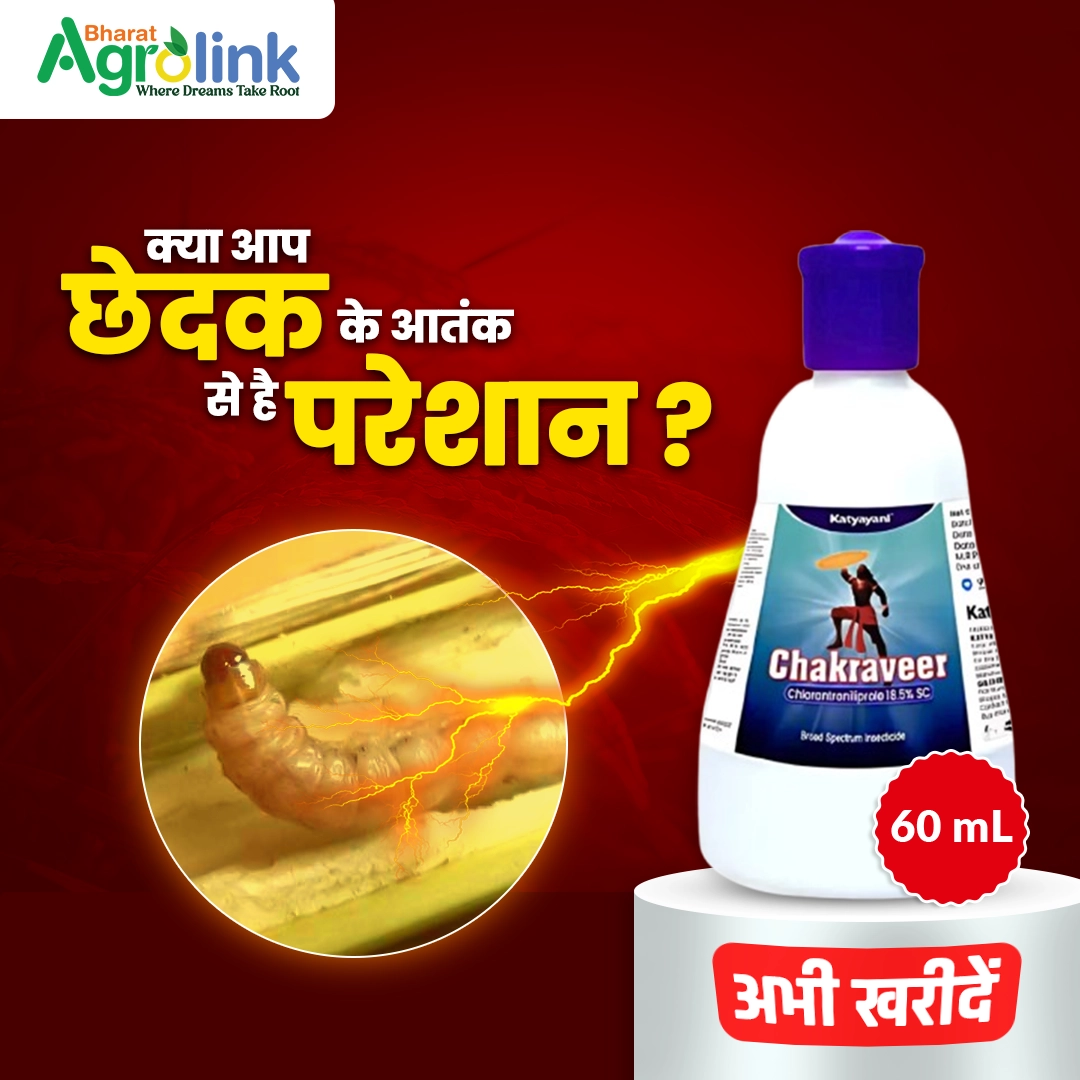 Katyayani Chakraveer | Chlorantraniliprole 18.5% SC | Chemical Insecticide