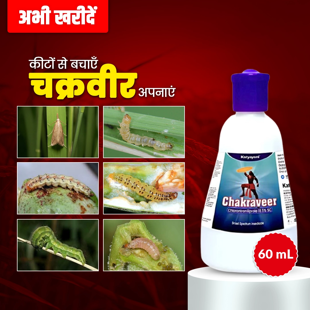 Katyayani Chakraveer | Chlorantraniliprole 18.5% SC | Chemical Insecticide