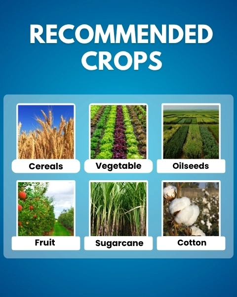 Pro Grow (Gibberellic Acid 0.001% L) Plant Growth Regulator | Katyayani Organics