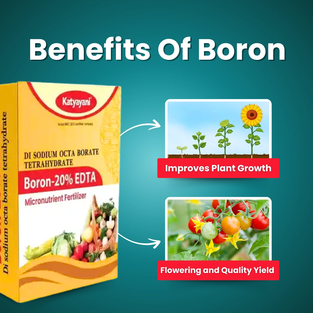 Boron 20% EDTA Micronutrient | Katyayni Organics