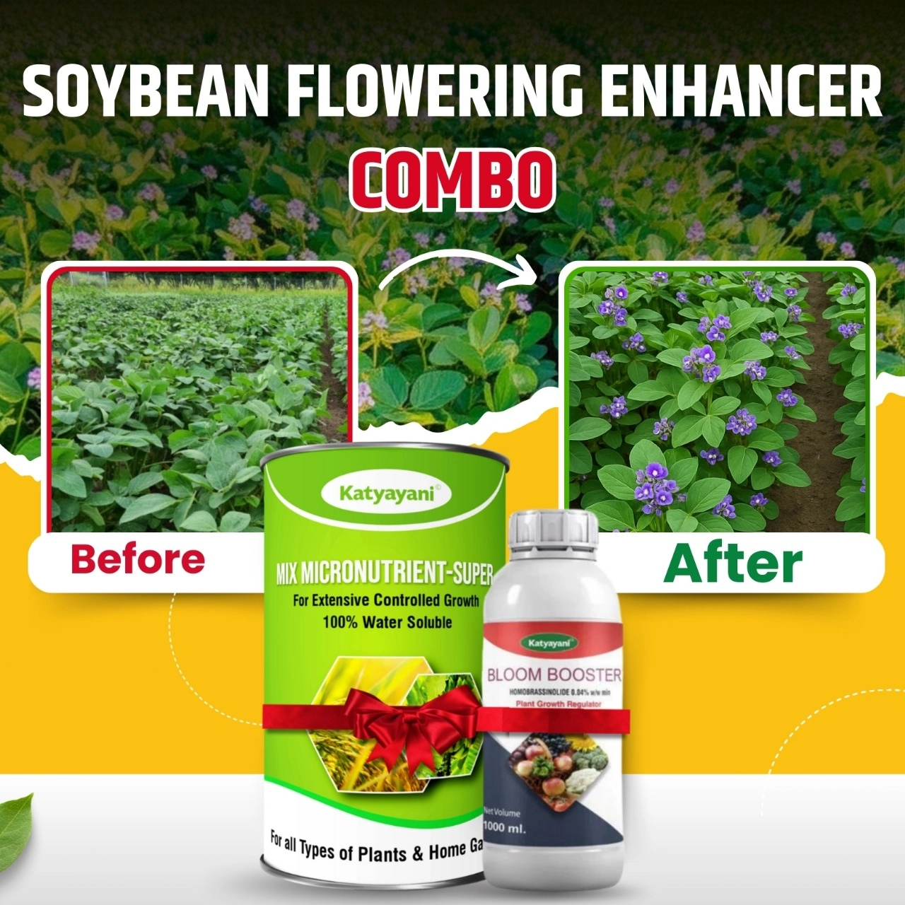 Katyayani Organics Bloom Booster 100 GM + Mix Micronutrients 100 GM Combo Pack
