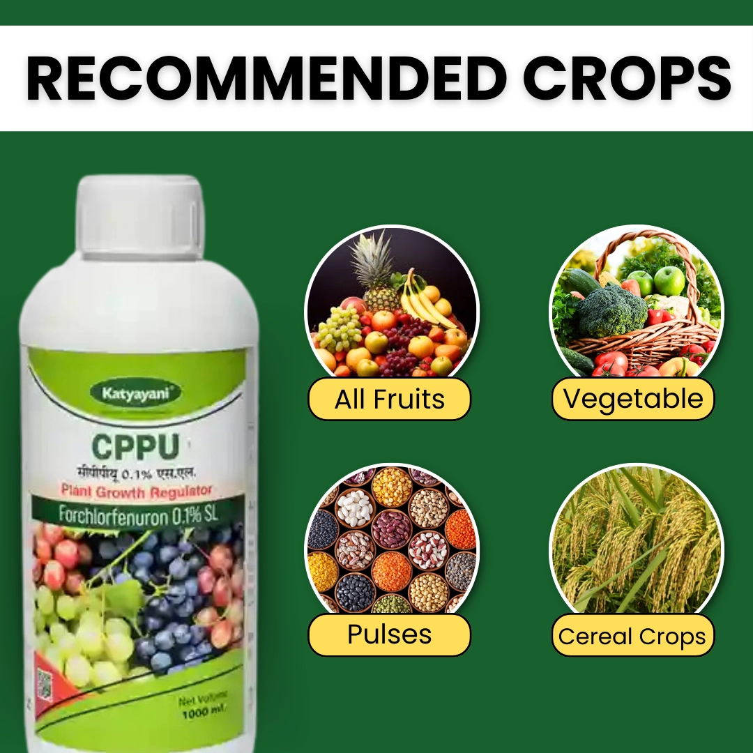 Katyayani CPPU Forchlorfenuron 0.1 % L Plant Growth Regulator