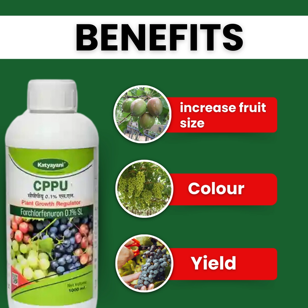Katyayani CPPU Forchlorfenuron 0.1 % L Plant Growth Regulator