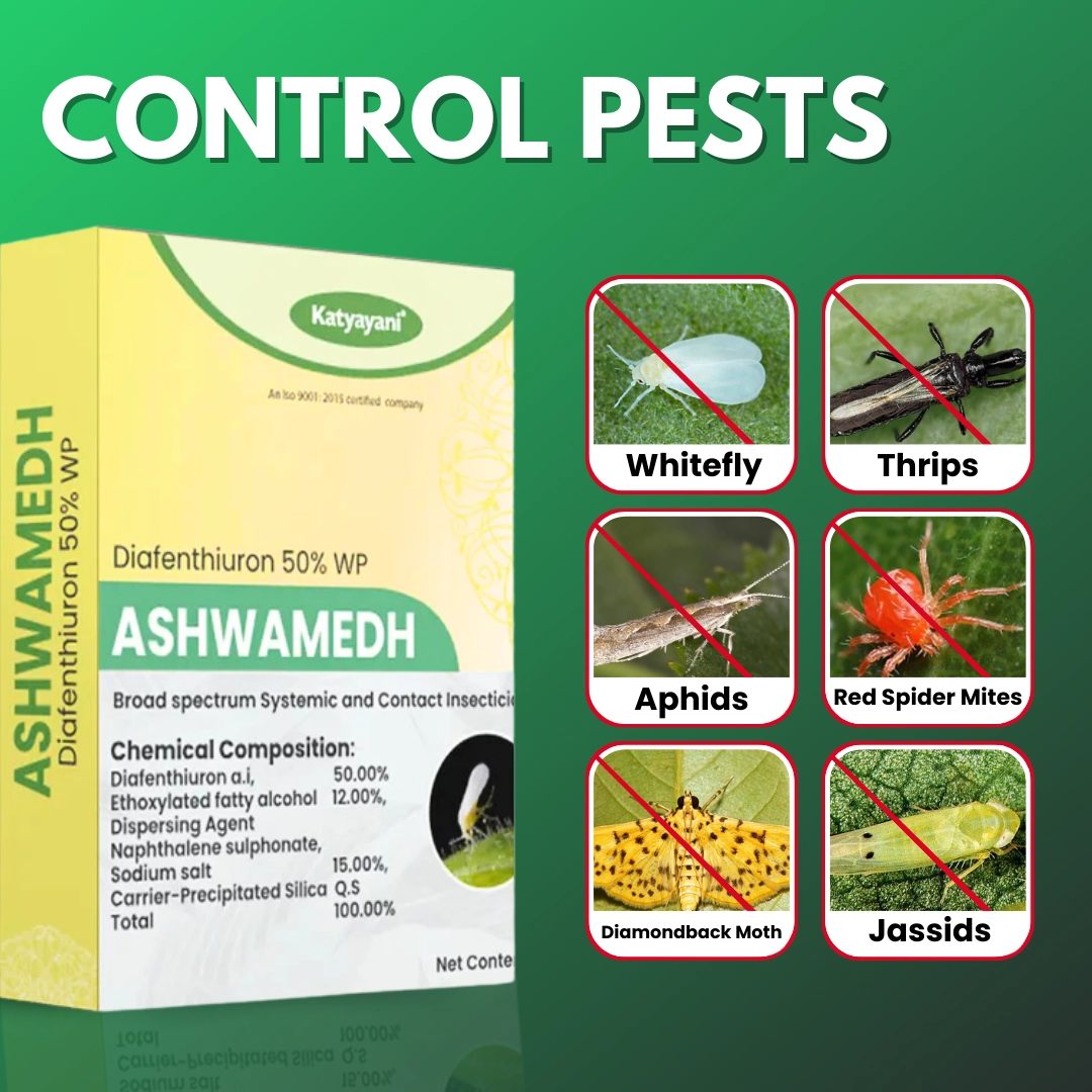 Katyayani Ashwamedh Diafenthiuron 50% WP Chemical Insecticide