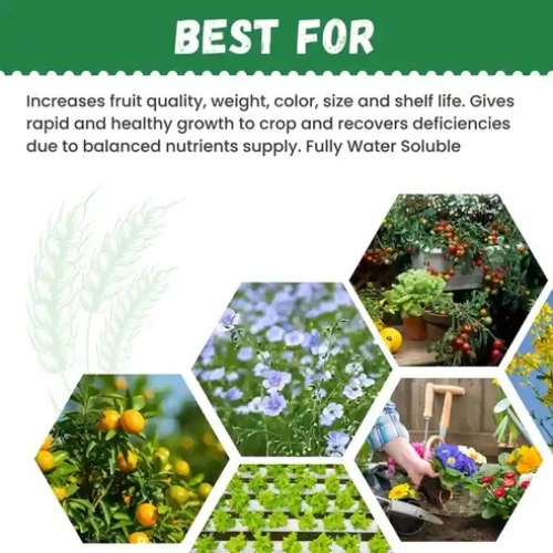Katyayani Organics NPK 13 40 13 Fertilizer