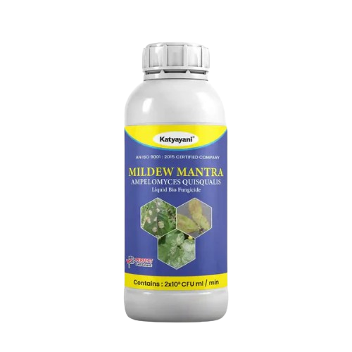 Katyayani Mildew Mantra | Ampelomyces quisqualis 1 Litre