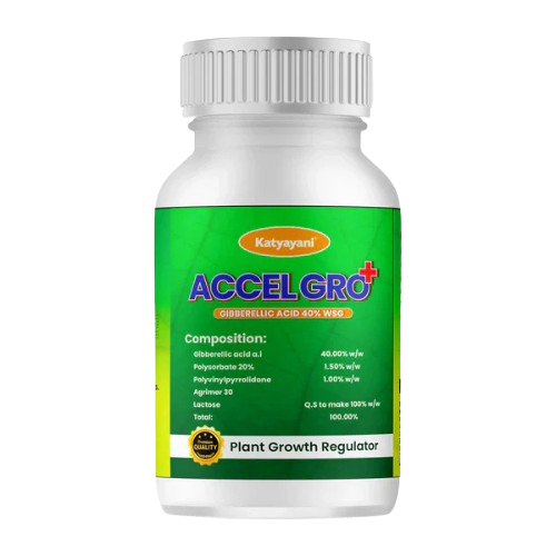 Katyayani Accel Gro Plus 6 GM